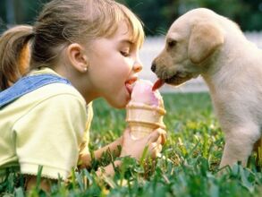 a girl eats ice cream with a dog and gets infected with parasites