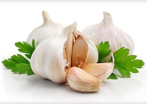 The purification of garlic